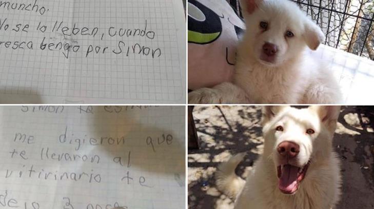 Niño le escribe cartas a su perrito que tuvo que abandonar