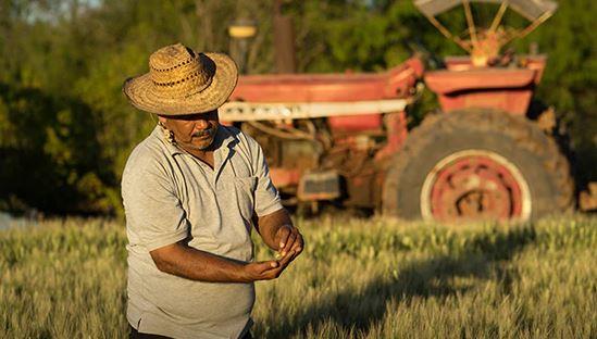 Secretaría del Bienestar lanza programas para agricultores, adultos mayores y comerciantes