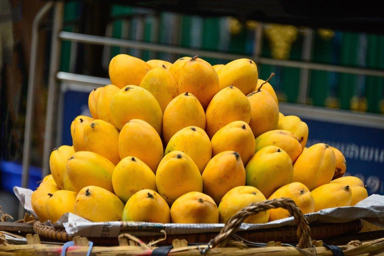 Mango de la India aporta varios beneficios para la salud