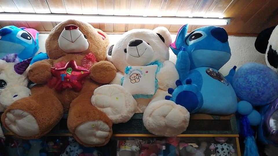 Con peluches y muñecos salieron bien surtidos los ladrones