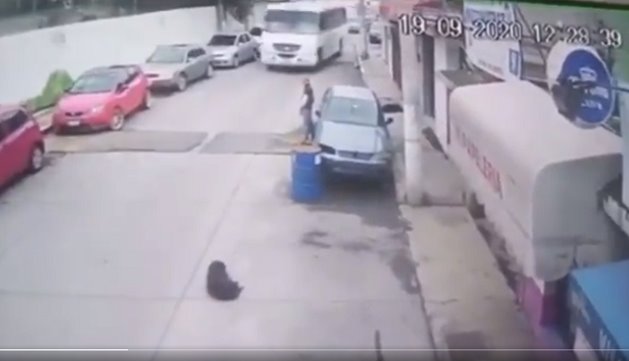 VIDEO- Atropella camión a perro en EDOMEX; chofer dice que ya estaba muerto