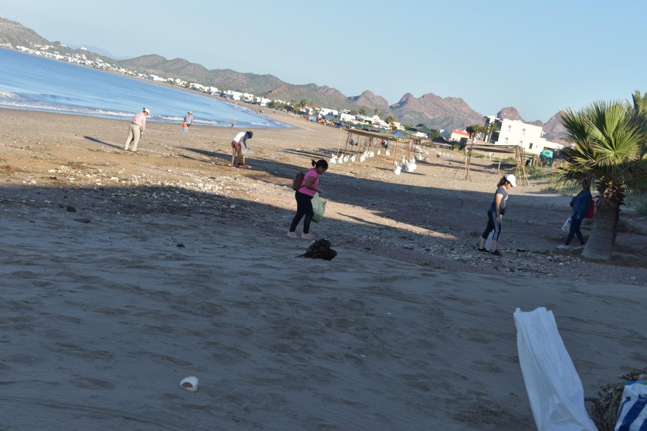 ¿Te gustaría participar en la limpieza de playas? Esto es para ti