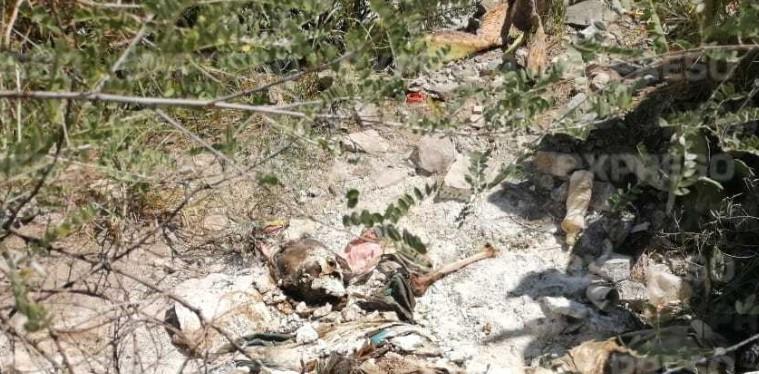 VIDEO - Macabro hallazgo en Hermosillo; encuentran cuerpo humano en un cerro