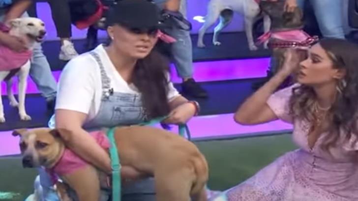 VIDEO | Yadhira Carrillo regresa a la TV… para pedir que adopten a sus perros