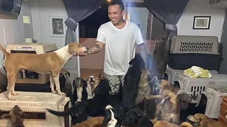 Hombre resguarda a 300 perros en su casa por huracán Delta