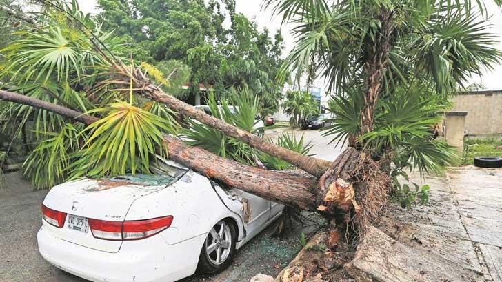 Aseguradoras reportan daños menores por huracanes en Quintana Roo