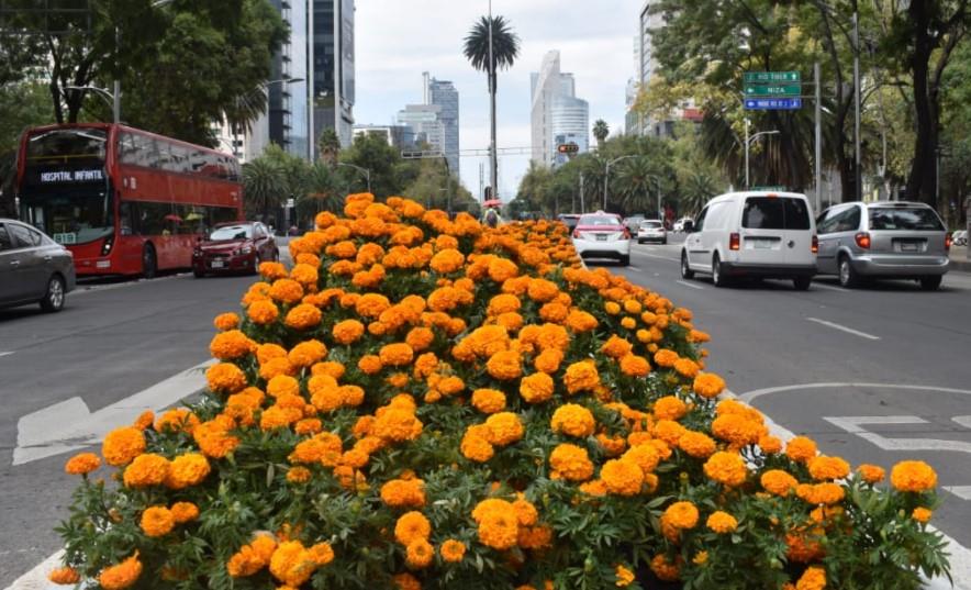 Pintan de naranja las calles de la CDMX por Día de Muertos