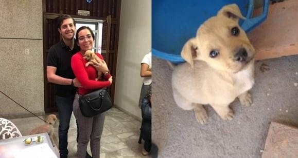 Adoptaban cachorritos para dárselos de comer a su serpiente