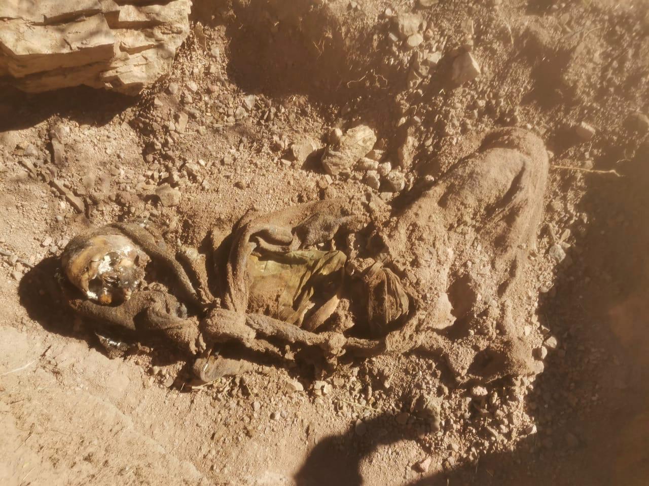 Tras una llamada anónima, localizan cadáver en descomposición en Nogales