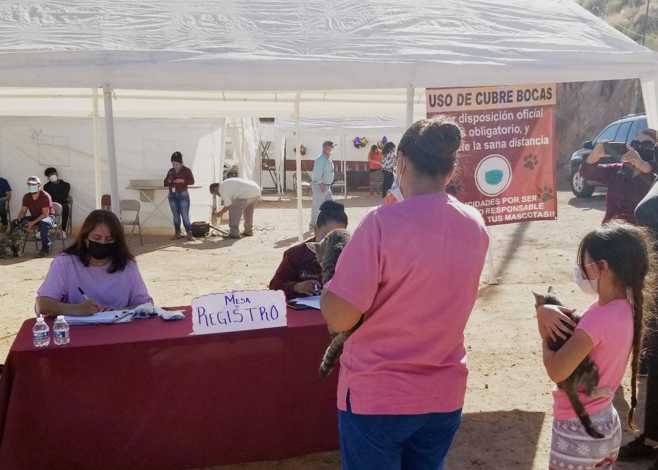 Llevan a cabo séptima campaña de castración y vacunación para mascotas en Nogales