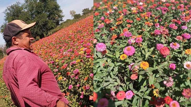 Venta desleal le pega a floristas cajemenses