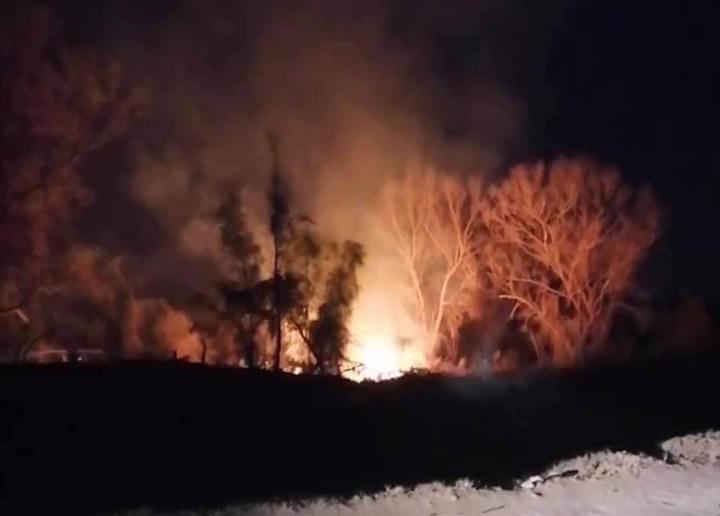 Incendio forestal en Río Mayo arrasa con 200 metros cuadrados de flora y fauna