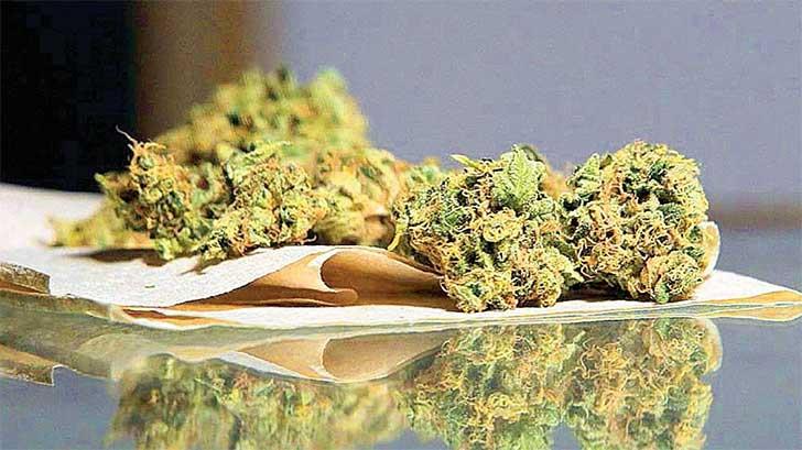 Publican en Diario Oficial reglamento para el uso medicinal de la mariguana