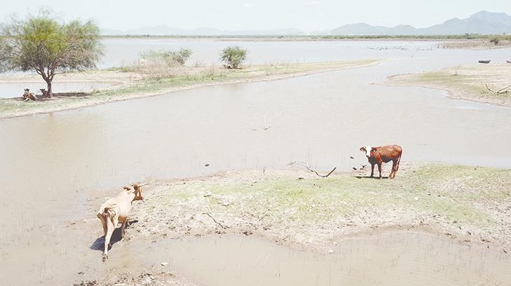 La Federación declara emergencia por sequía