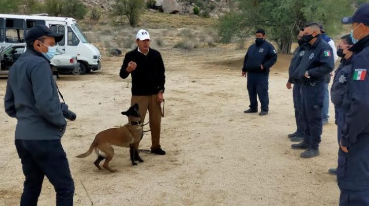 Esta es la nueva certificación con la que cuentan los perritos policías de Sonora