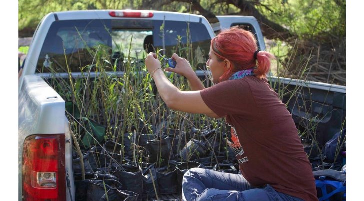 Crean vivero para propagación de plantas de la región