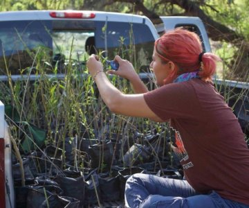 Crean vivero para propagación de plantas de la región