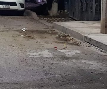 Muere hombre en Obregón tras recibir escopetazos