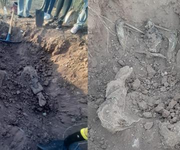 Encuentran cadáver esposado en fosa clandestina al sur de Ciudad Obregón