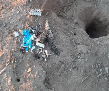 Fiscalía analizará restos encontrados en el valle de Guaymas para determinar si son humanos