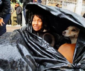 Soledad y sus seis perros se refugian de las lluvias con bolsas de plástico