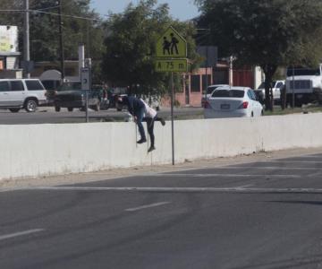 ¡Ni con el letrero entienden! Peatones arriesgan su vida en San Pedro