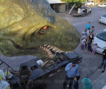 ¡Cuidado! Un gran y brutal depredador fue visto al sur de Hermosillo
