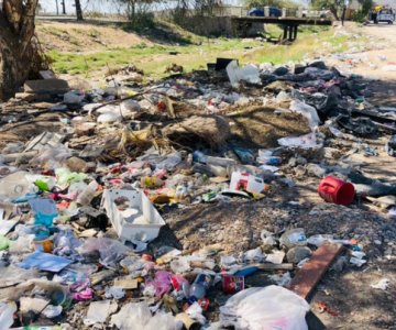 Canal de la colonia Villa Del Real se convierte en basurero clandestino
