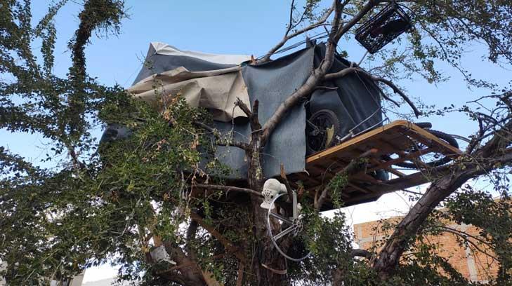 Don Manuel perdió su trabajo por cuidar a su esposa y ahora vive en un árbol