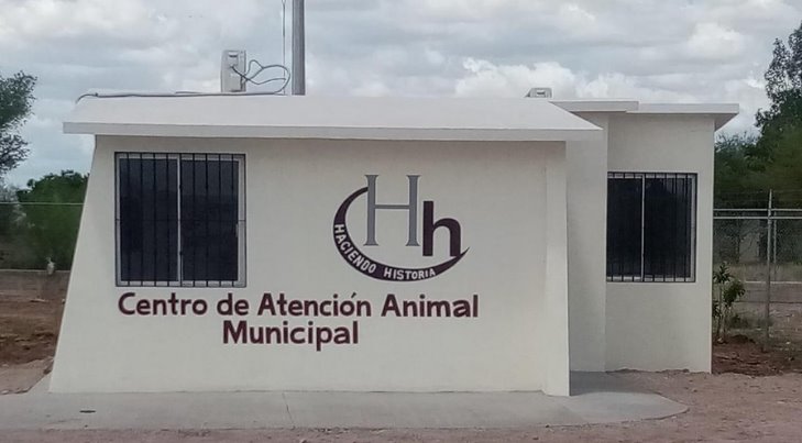 Lo que opinan veterinarios del Centro de Control Animal de Navojoa