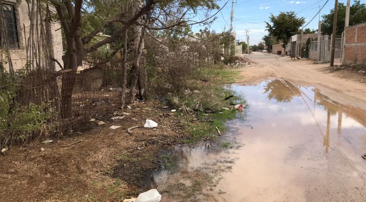 Fuga de agua en casa abandonada de Navojoa echa a perder las calles