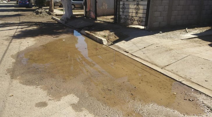 Larga fuga de aguas negras de Obregón afecta economía de vecinos