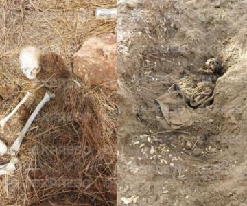 Sube a tres la cifra de los cadáveres encontrados en Nogales