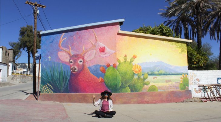 “El arte es para el pueblo”: Joven hermosillense plasma arte en la ciudad