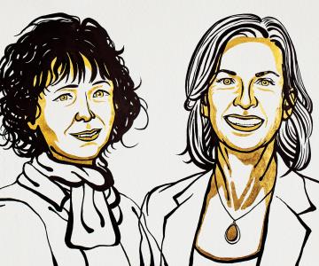 Tres mujeres ganaron el Nobel este año