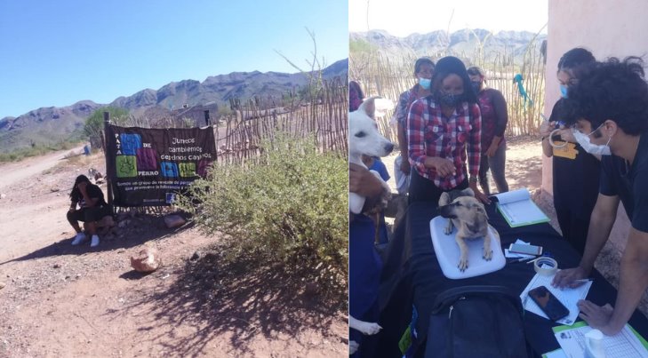 Pata de Perro rifará una Alexa para ayudar a los perros de Punta Chueca