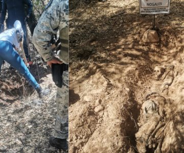 Encuentran restos óseos de una persona en Nogales