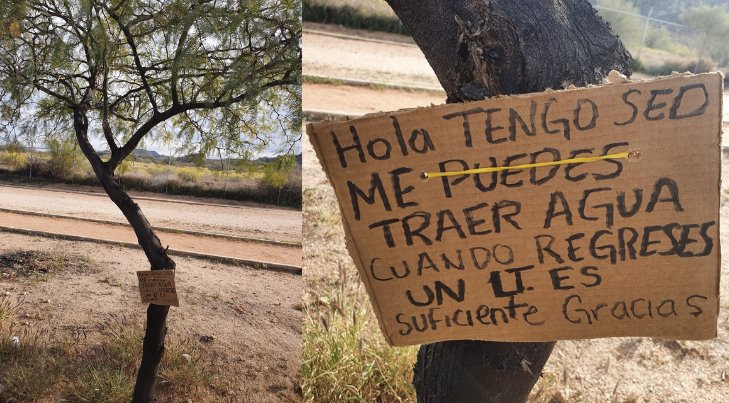 Con creativos carteles, piden ayuda para regar los árboles del kilómetro del Centro Ecológico