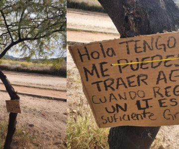 Con creativos carteles, piden ayuda para regar los árboles del kilómetro del Centro Ecológico