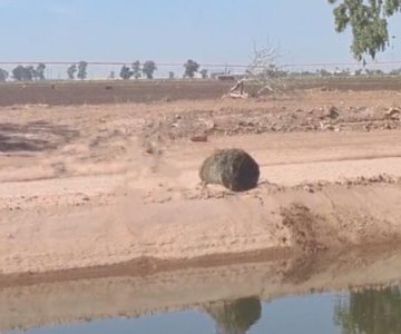 Encuentran cuerpo embolsado en un canal de Obregón