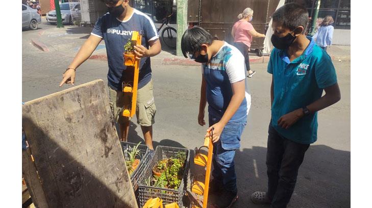 La familia Rosas sale adelante con la venta de sus plantas en el centro de Hermosillo desde hace 11 años