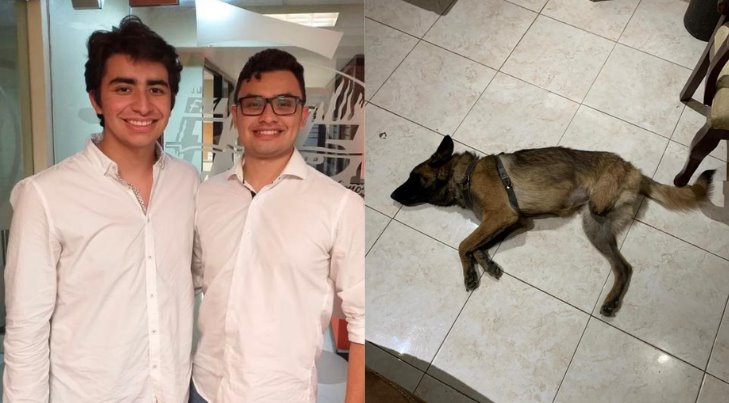 Hermanos Durán Jiménez planean construir prótesis para su perrita