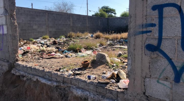 Vecinos de la colonia Laura Alicia Frías sufren a causa de un lote abandonado