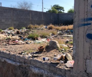 Vecinos de la colonia Laura Alicia Frías sufren a causa de un lote abandonado