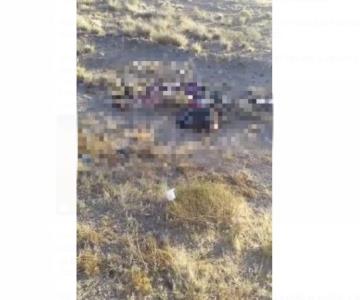 Abandonan varios cadáveres en Caborca: tres hombres y una mujer