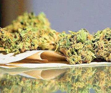 Avalan despenalizar posesión de hasta 28 gramos de mariguana