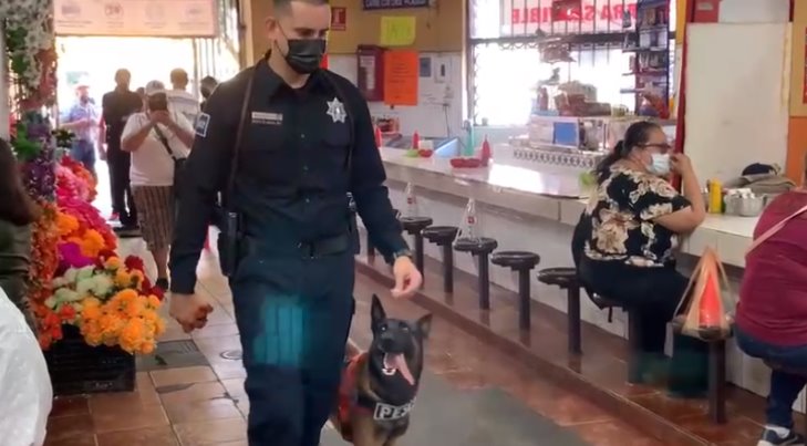 Binomios caninos realizan patrullajes permanentes en Sonora