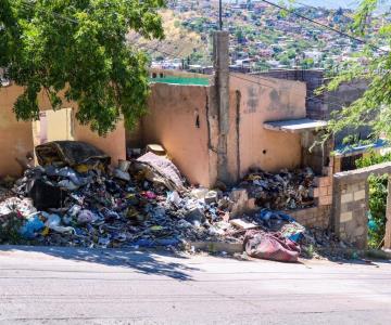 ¿Por qué son un peligro los basureros clandestinos de Nogales?