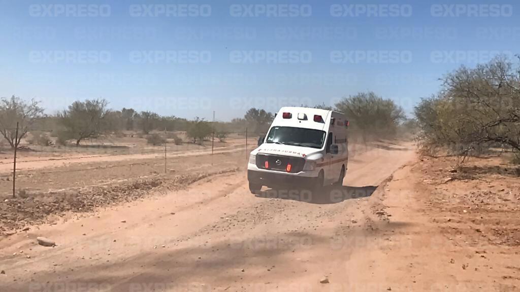 VIDEO - Cae avioneta al poniente de Hermosillo: reportan 6 personas en estado crítico