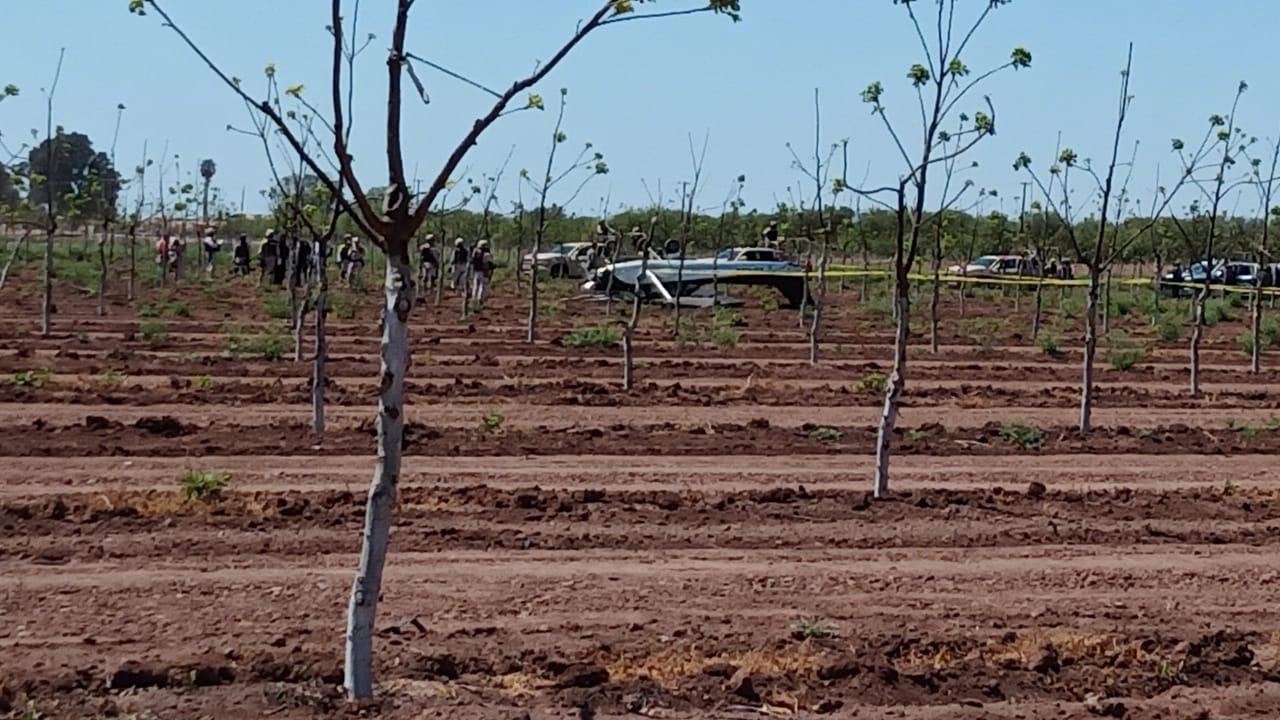 Reportan la caída de otra avioneta: ahora al sur de Obregón